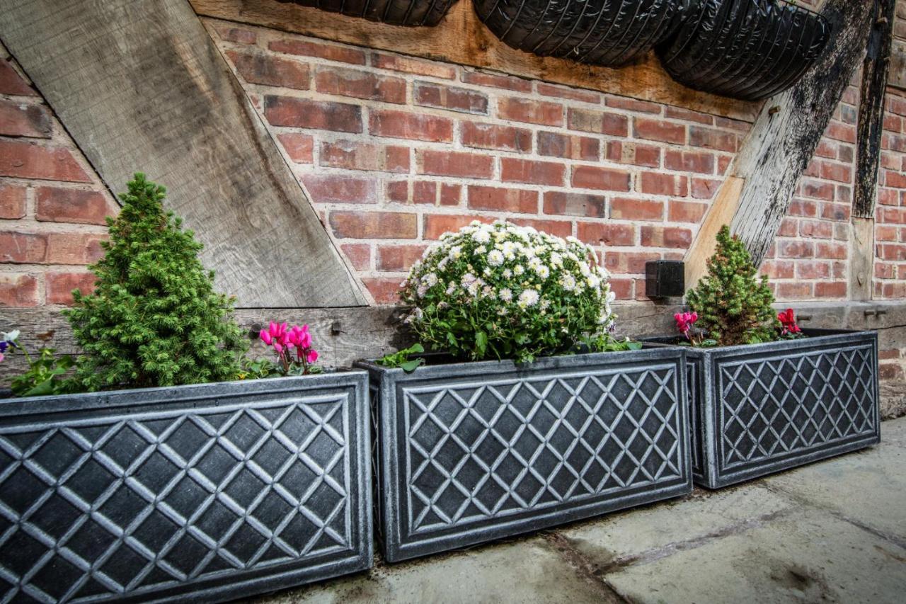 "Wesley House" Historic Home In Town Centre With Parking シュルーズベリー エクステリア 写真